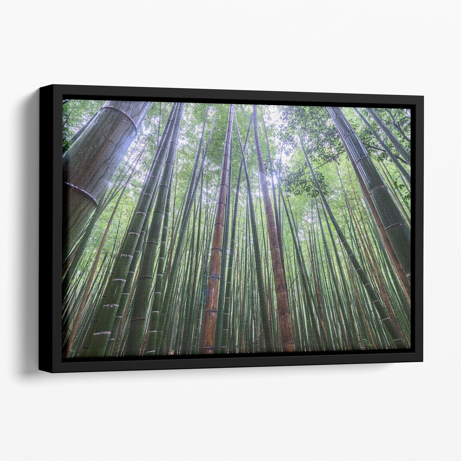 Tall Floating Framed Canvas - Canvas Art Rocks - 1