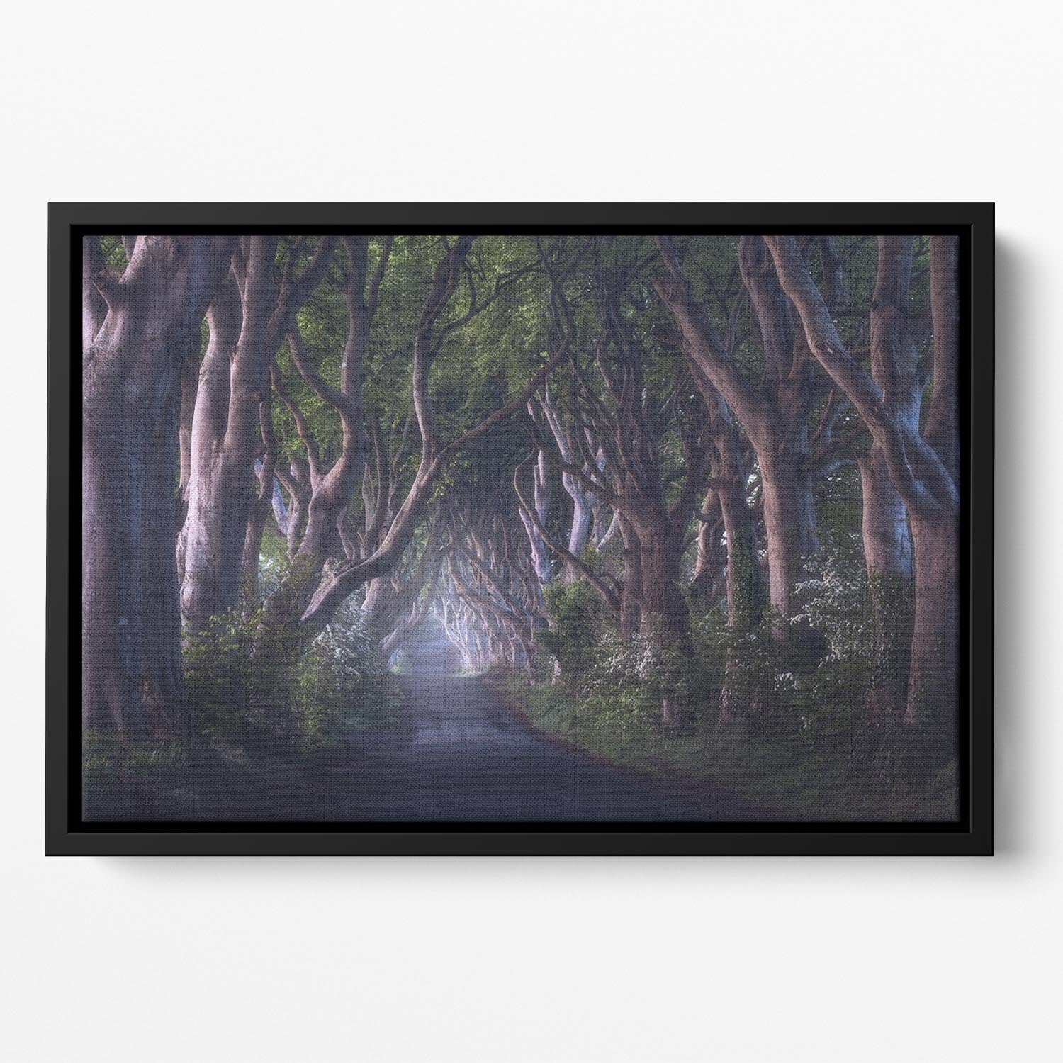 The Dark Hedges Floating Framed Canvas - Canvas Art Rocks - 2