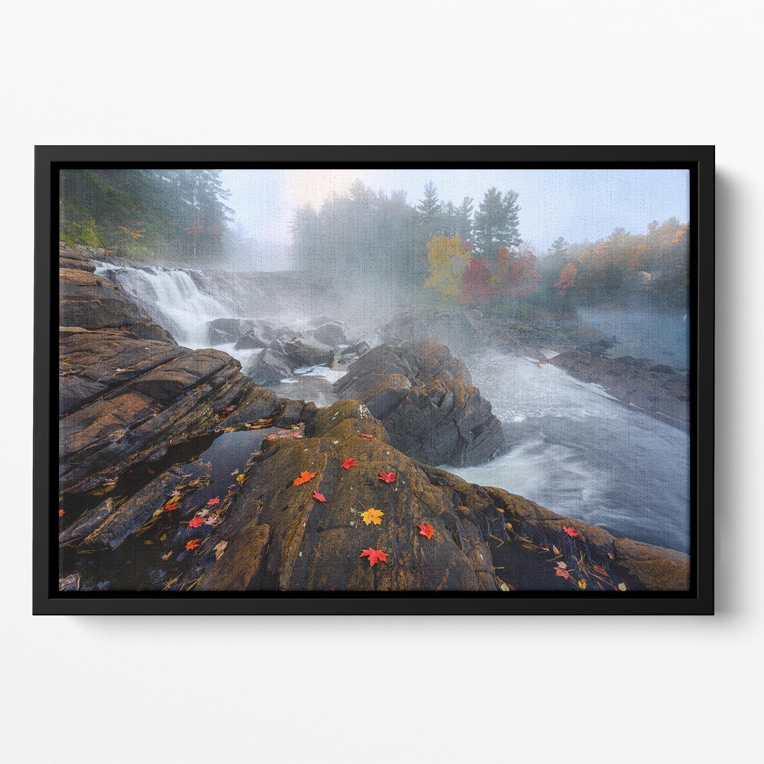 Autumn In Canada Floating Framed Canvas - Canvas Art Rocks - 2