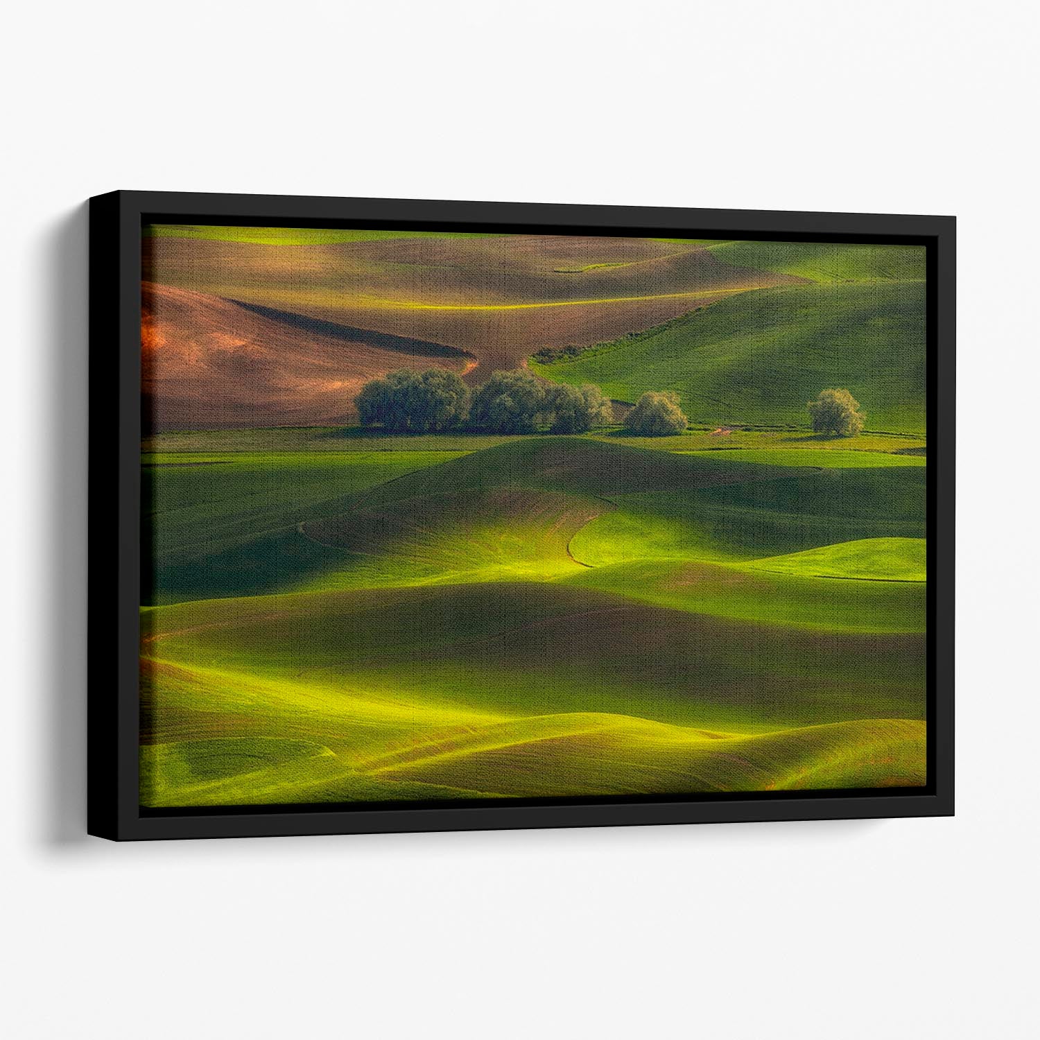 Spring In The Palouse Floating Framed Canvas - Canvas Art Rocks - 1