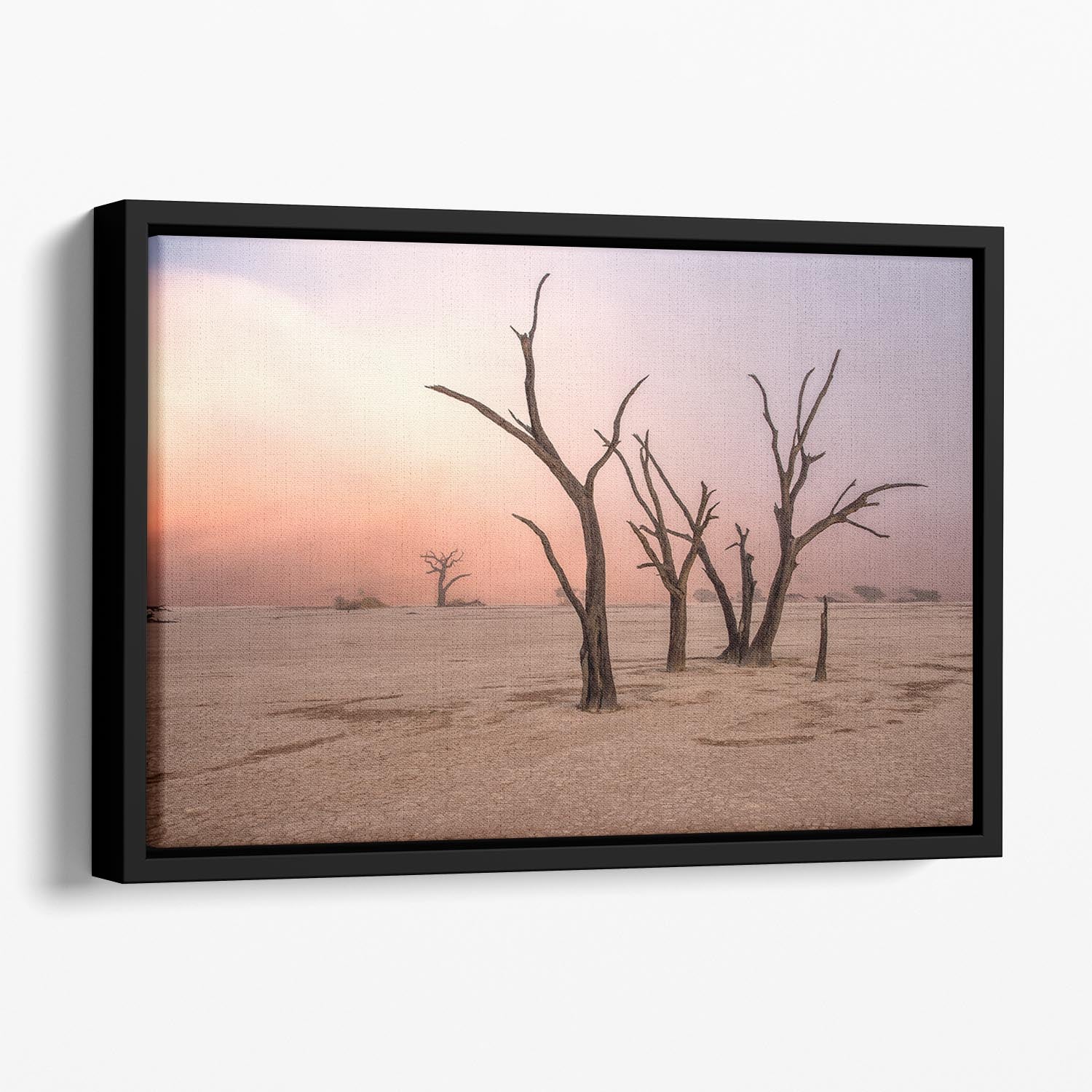 Fog In Deadvlei Floating Framed Canvas - Canvas Art Rocks - 1