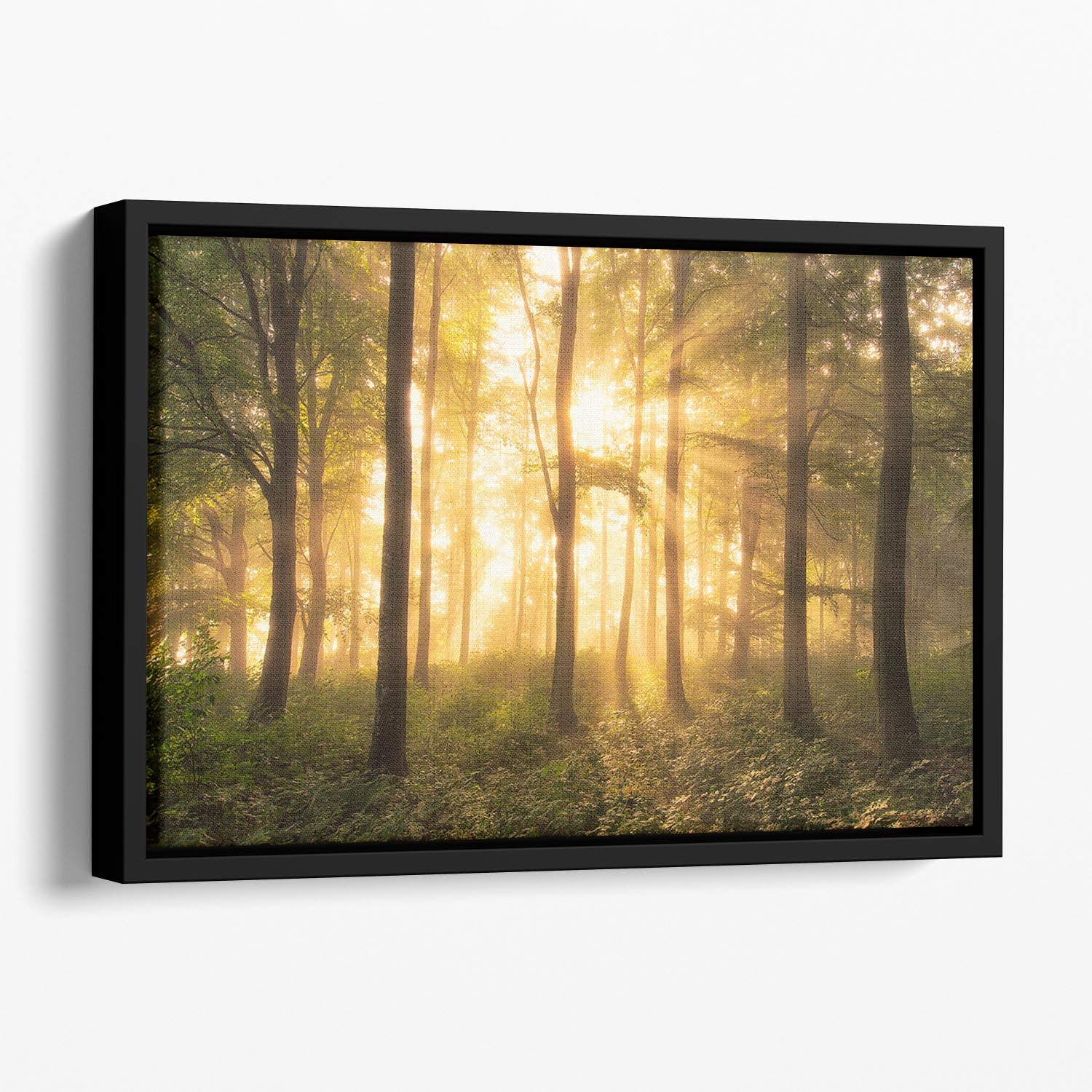 It's Nice To Love Floating Framed Canvas - Canvas Art Rocks - 1