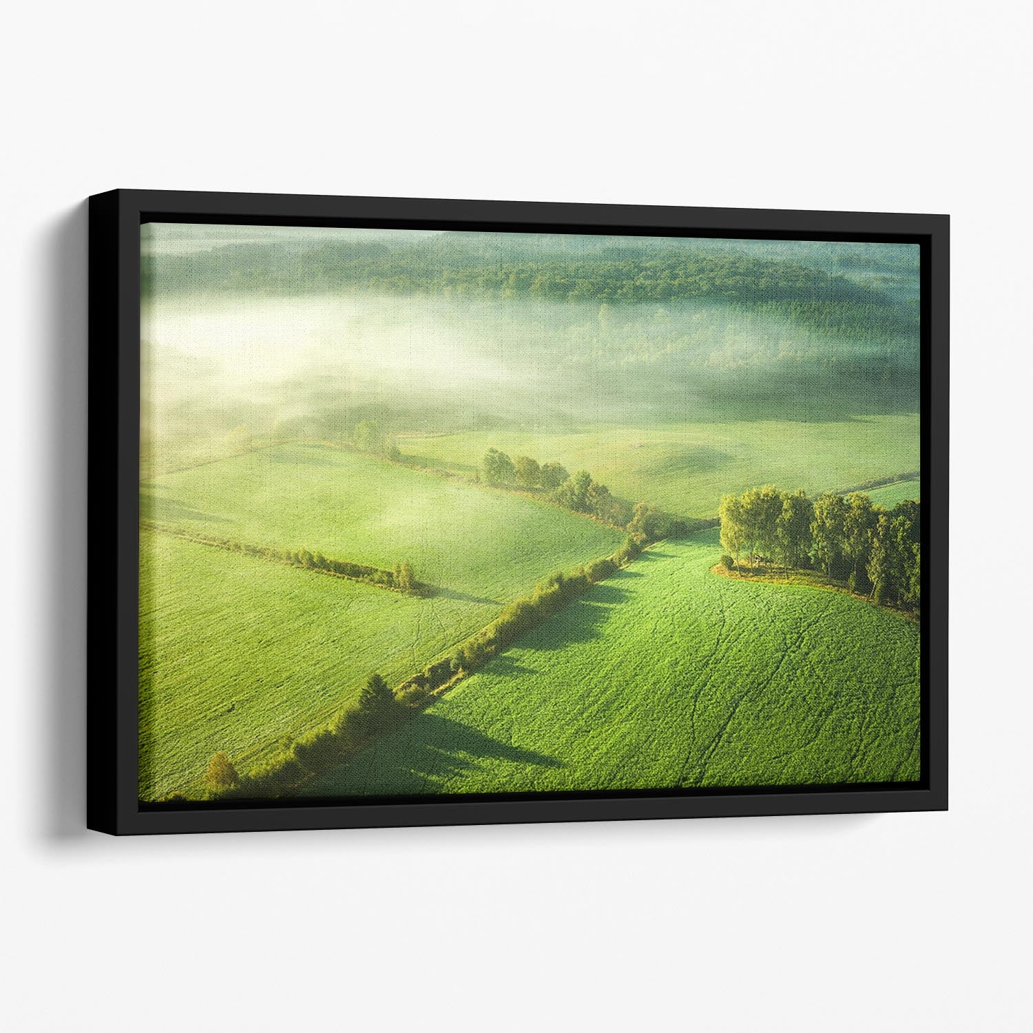 Above The Mist Floating Framed Canvas - Canvas Art Rocks - 1