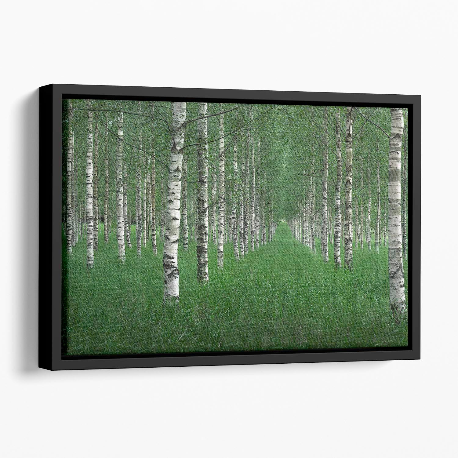 The Tunnel Floating Framed Canvas - Canvas Art Rocks - 1