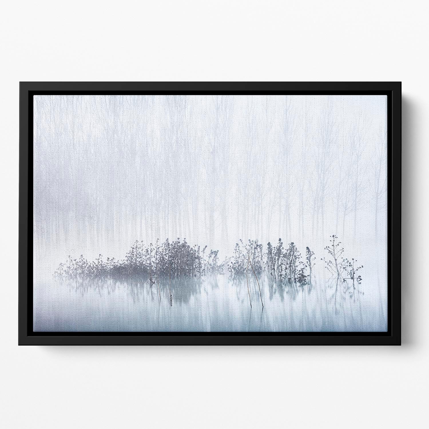 Cold A Foggy Morning In The Swamp Floating Framed Canvas - Canvas Art Rocks - 2