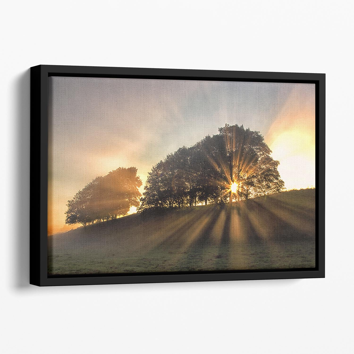 The Small Deer Floating Framed Canvas - Canvas Art Rocks - 1