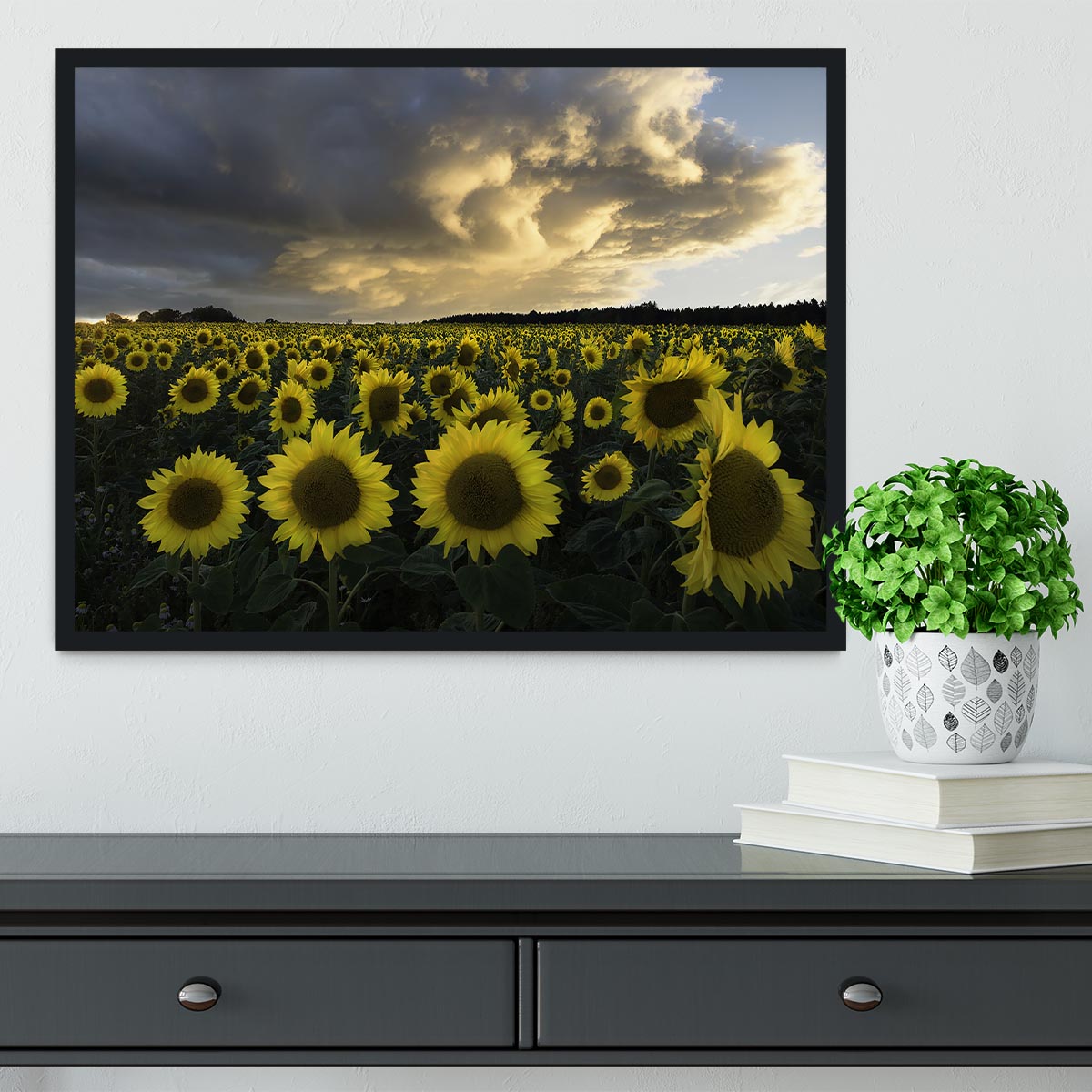 Sunflowers In Sweden Framed Print - Canvas Art Rocks - 2