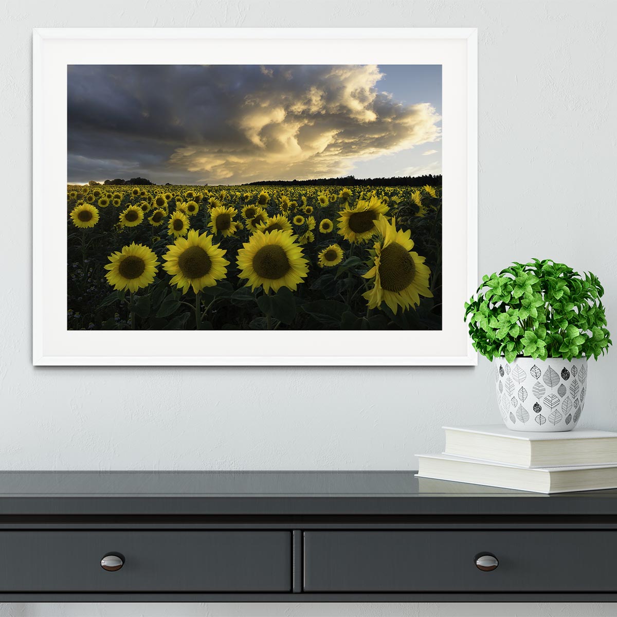 Sunflowers In Sweden Framed Print - Canvas Art Rocks - 5