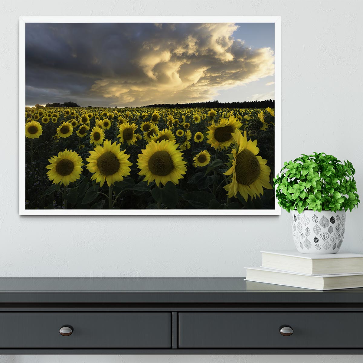 Sunflowers In Sweden Framed Print - Canvas Art Rocks -6