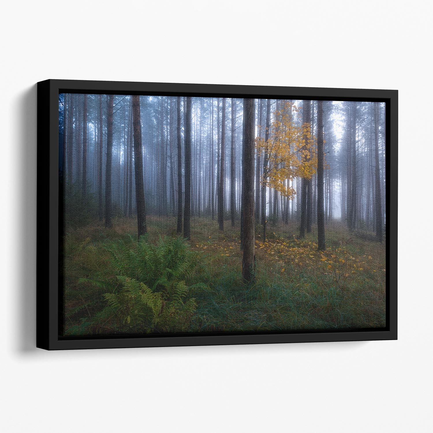 The Dark Light Floating Framed Canvas - Canvas Art Rocks - 1