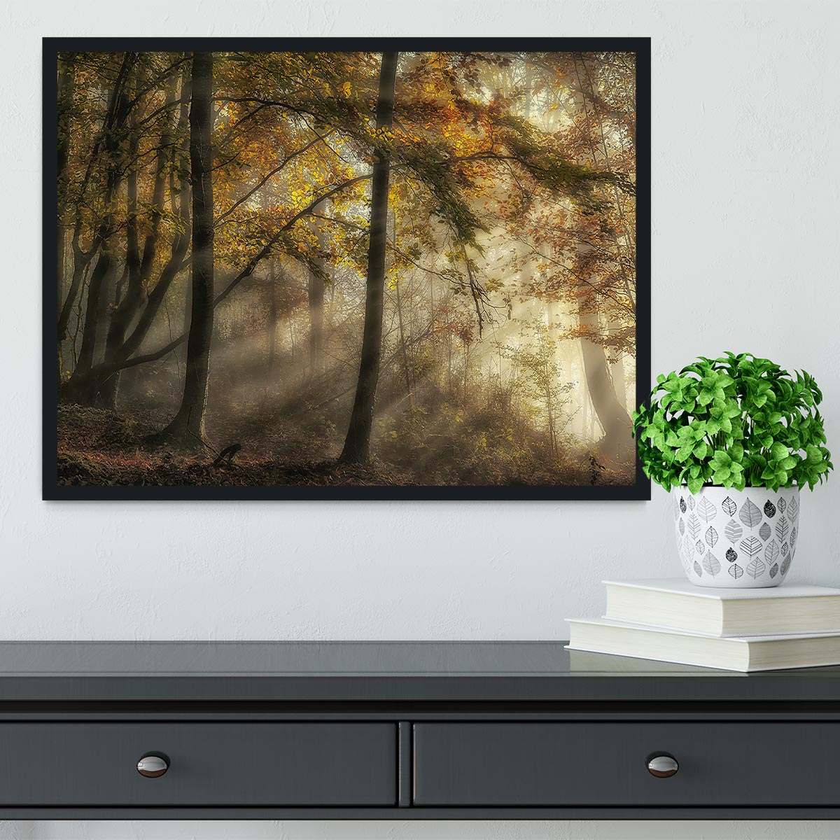 The Lights Of The Forest Framed Print - Canvas Art Rocks - 2