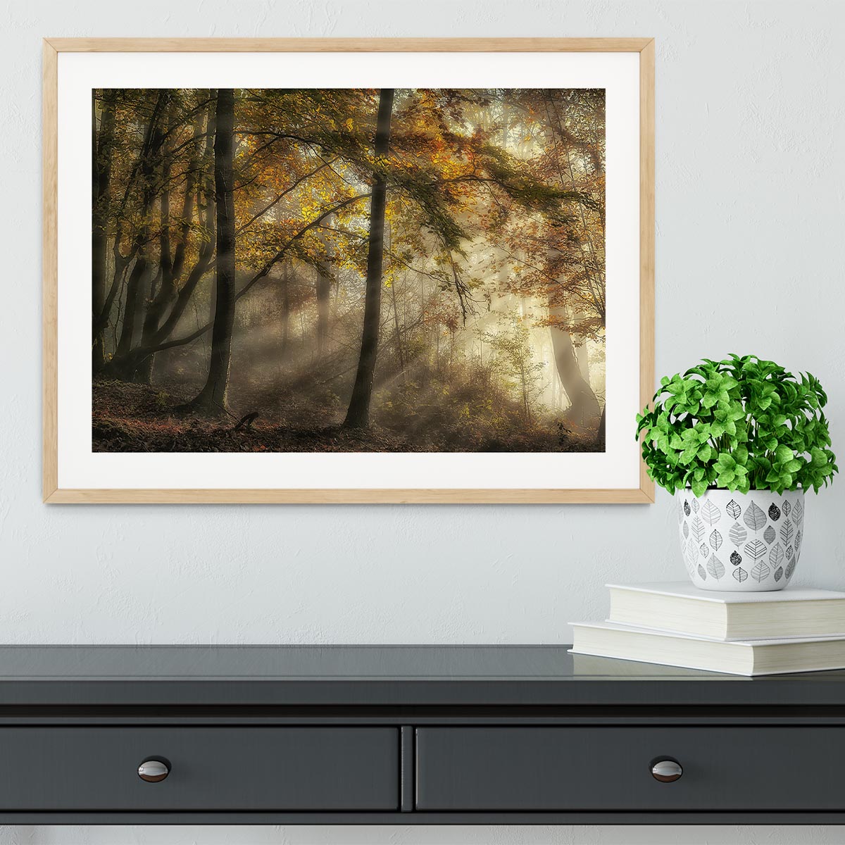 The Lights Of The Forest Framed Print - Canvas Art Rocks - 3