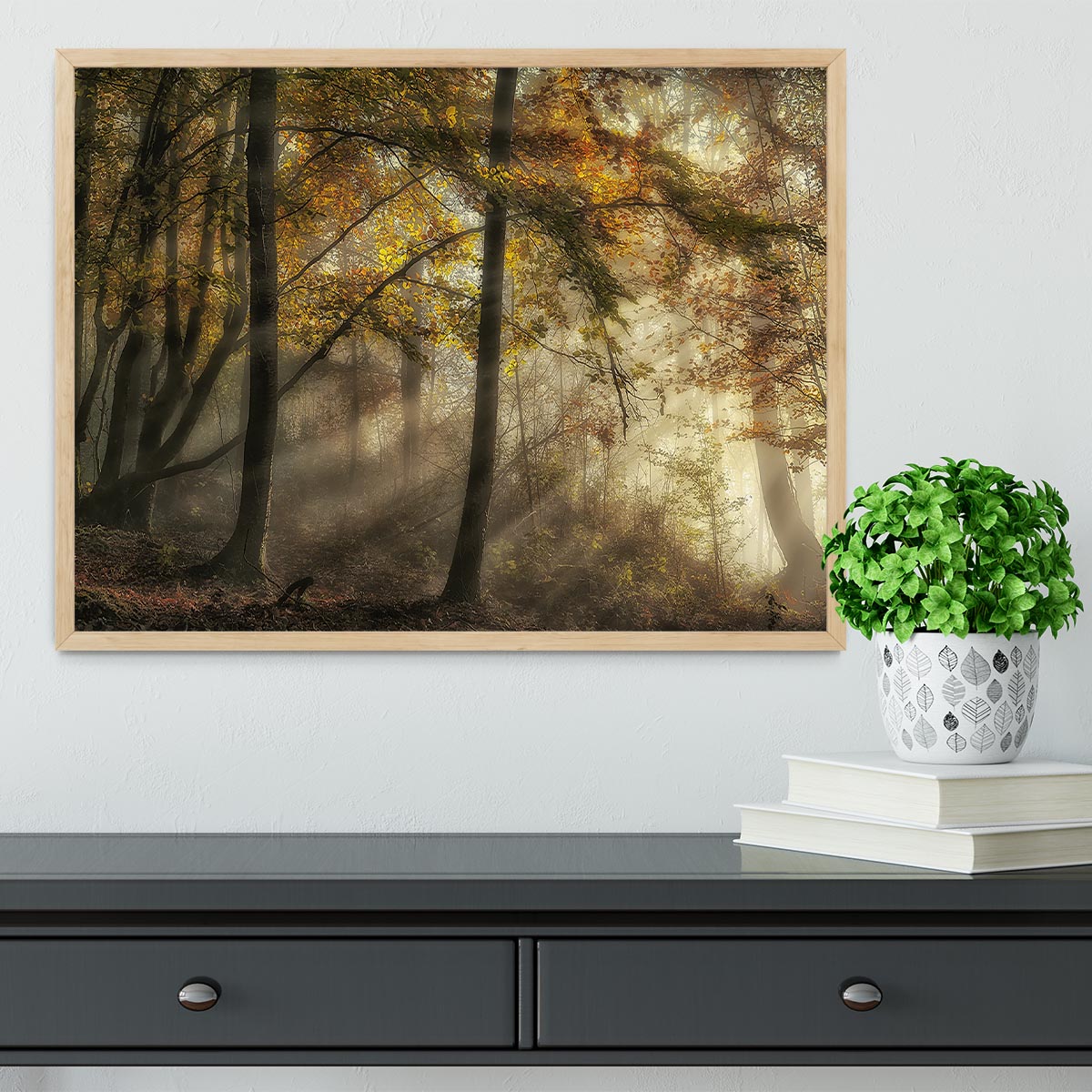 The Lights Of The Forest Framed Print - Canvas Art Rocks - 4