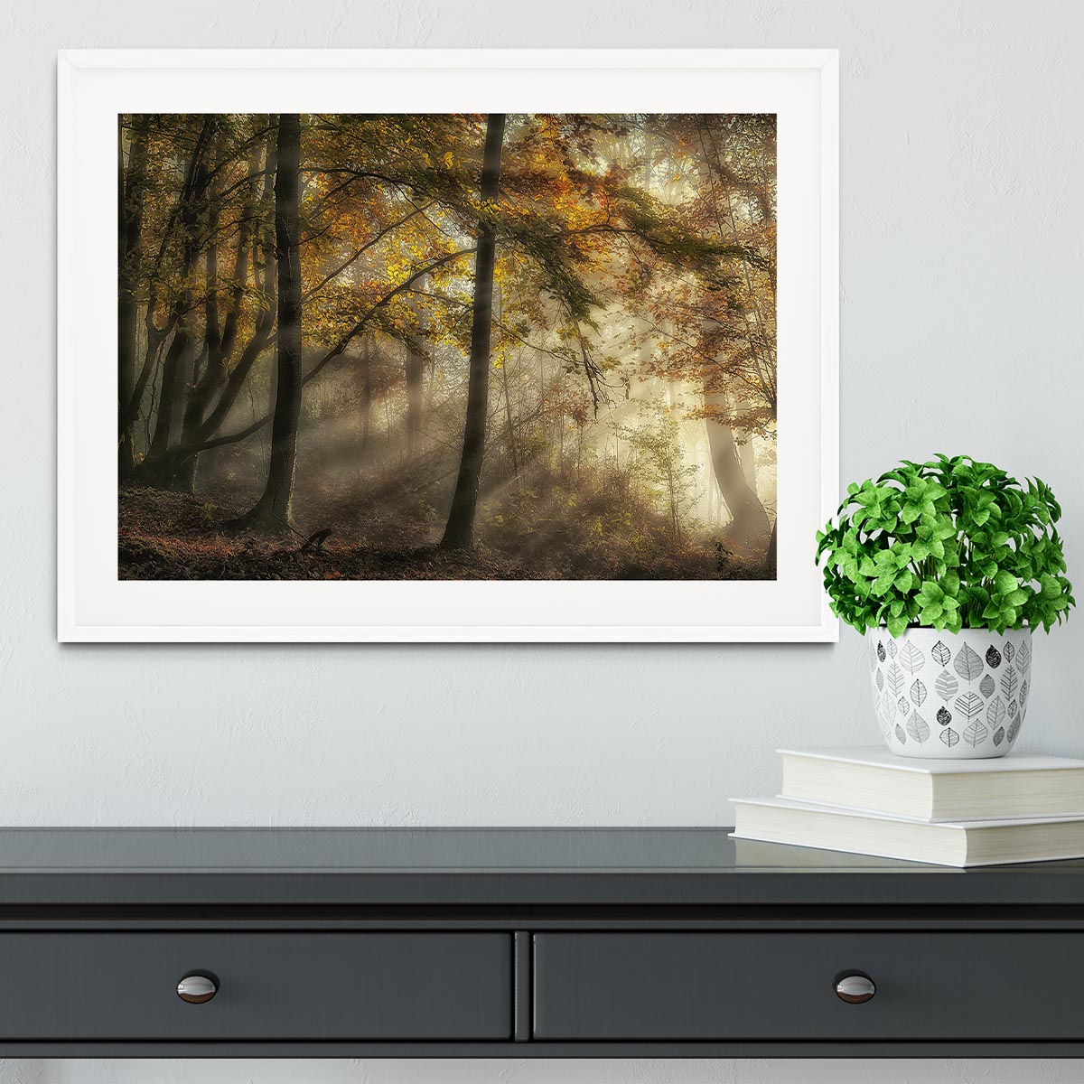 The Lights Of The Forest Framed Print - Canvas Art Rocks - 5