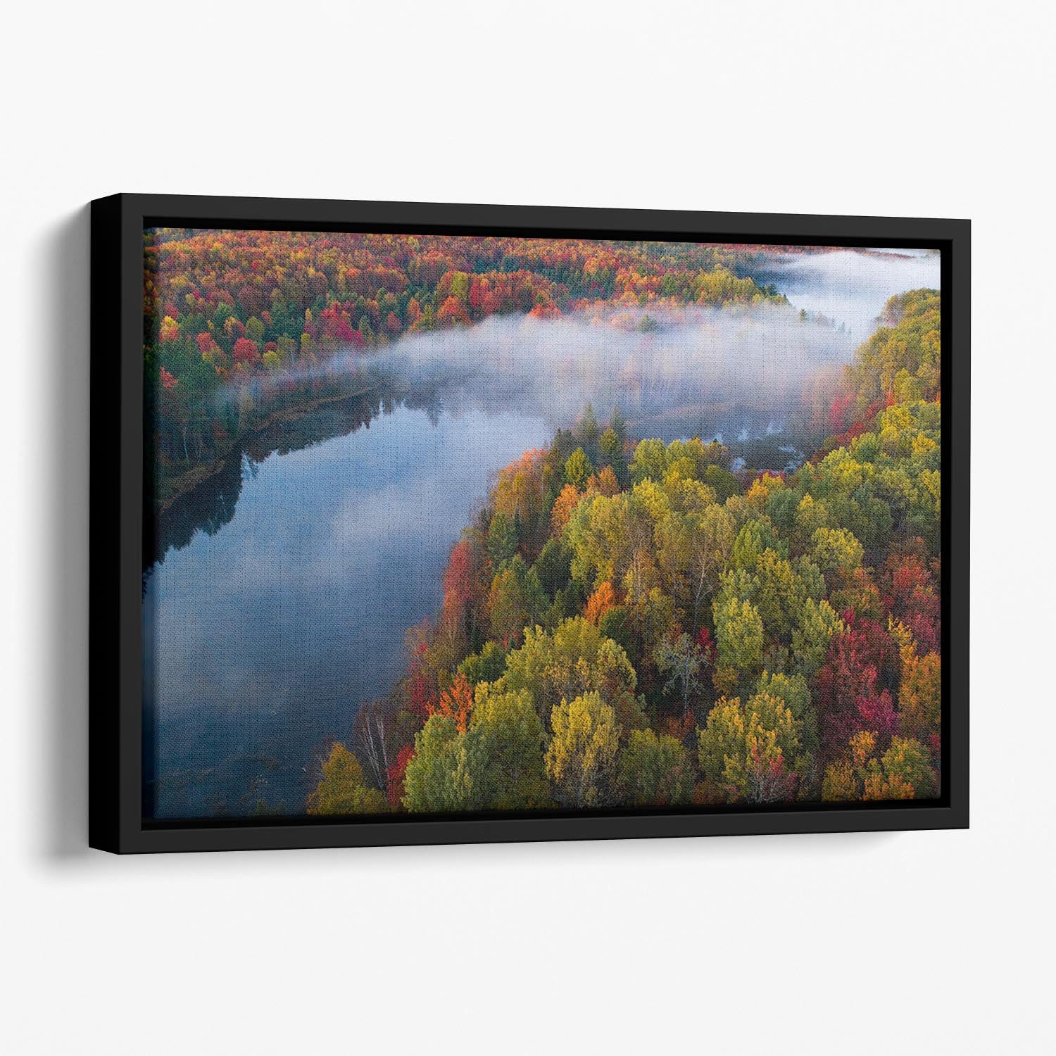 Autumn Symphony Ii Floating Framed Canvas - Canvas Art Rocks - 1