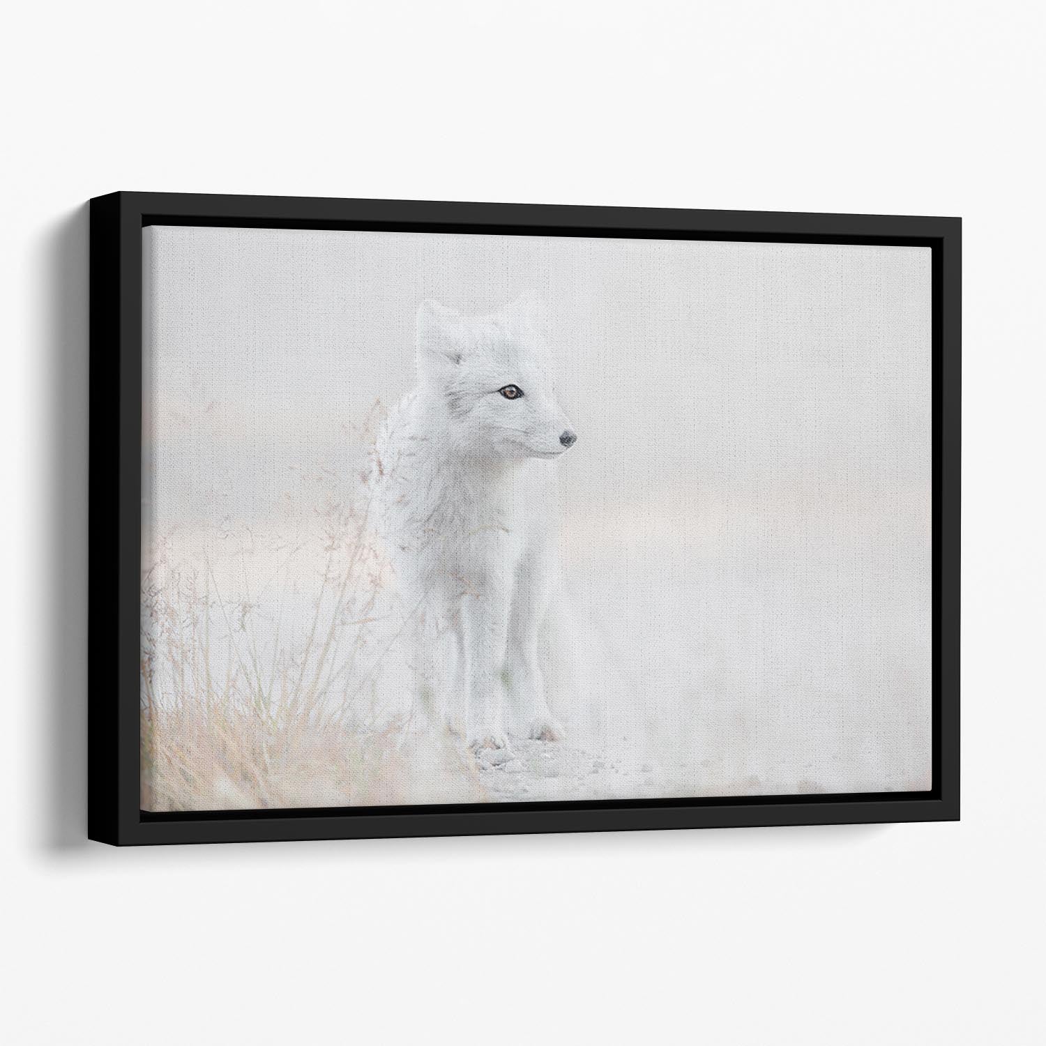 Fox Looking around Floating Framed Canvas - Canvas Art Rocks - 1