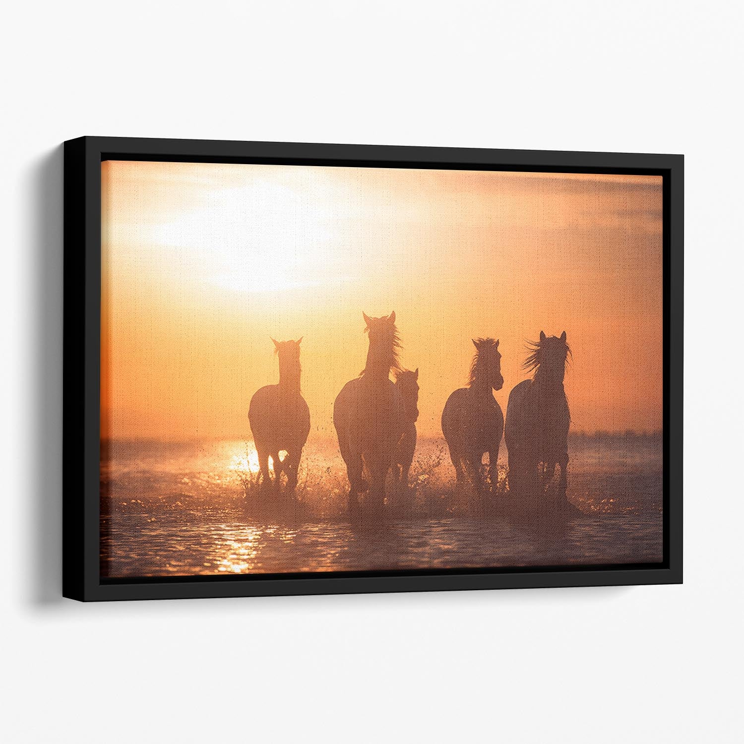 Horse Camargue angels Floating Framed Canvas - Canvas Art Rocks - 1