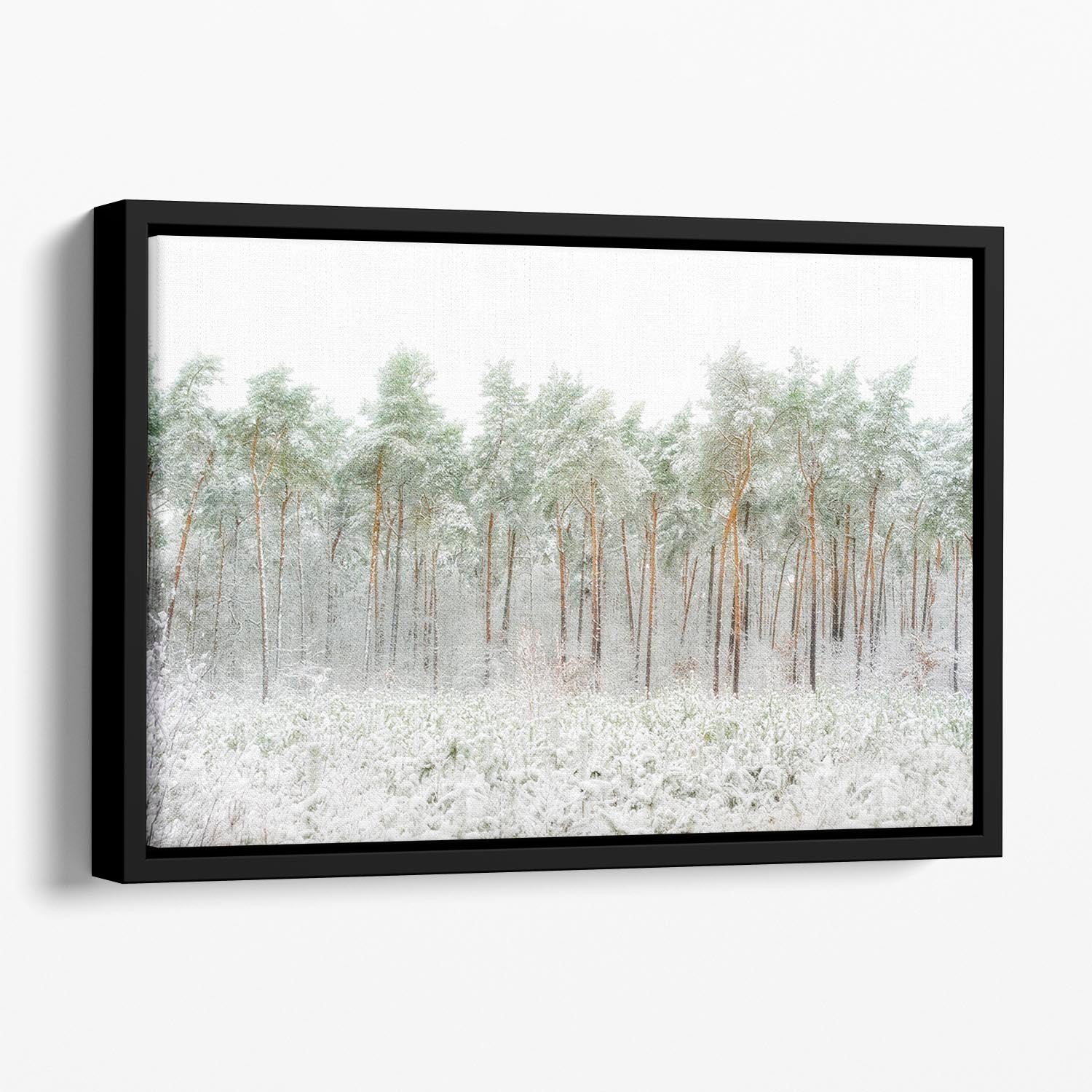 Snow World Floating Framed Canvas - Canvas Art Rocks - 1