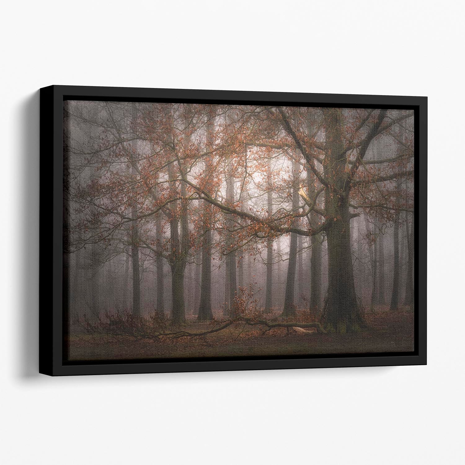 Foggy MemoryOf The Past Floating Framed Canvas - Canvas Art Rocks - 1