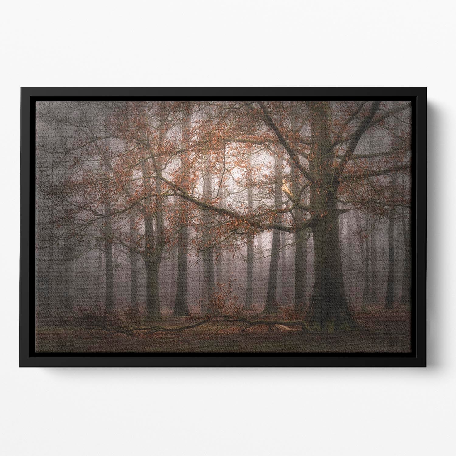 Foggy MemoryOf The Past Floating Framed Canvas - Canvas Art Rocks - 2