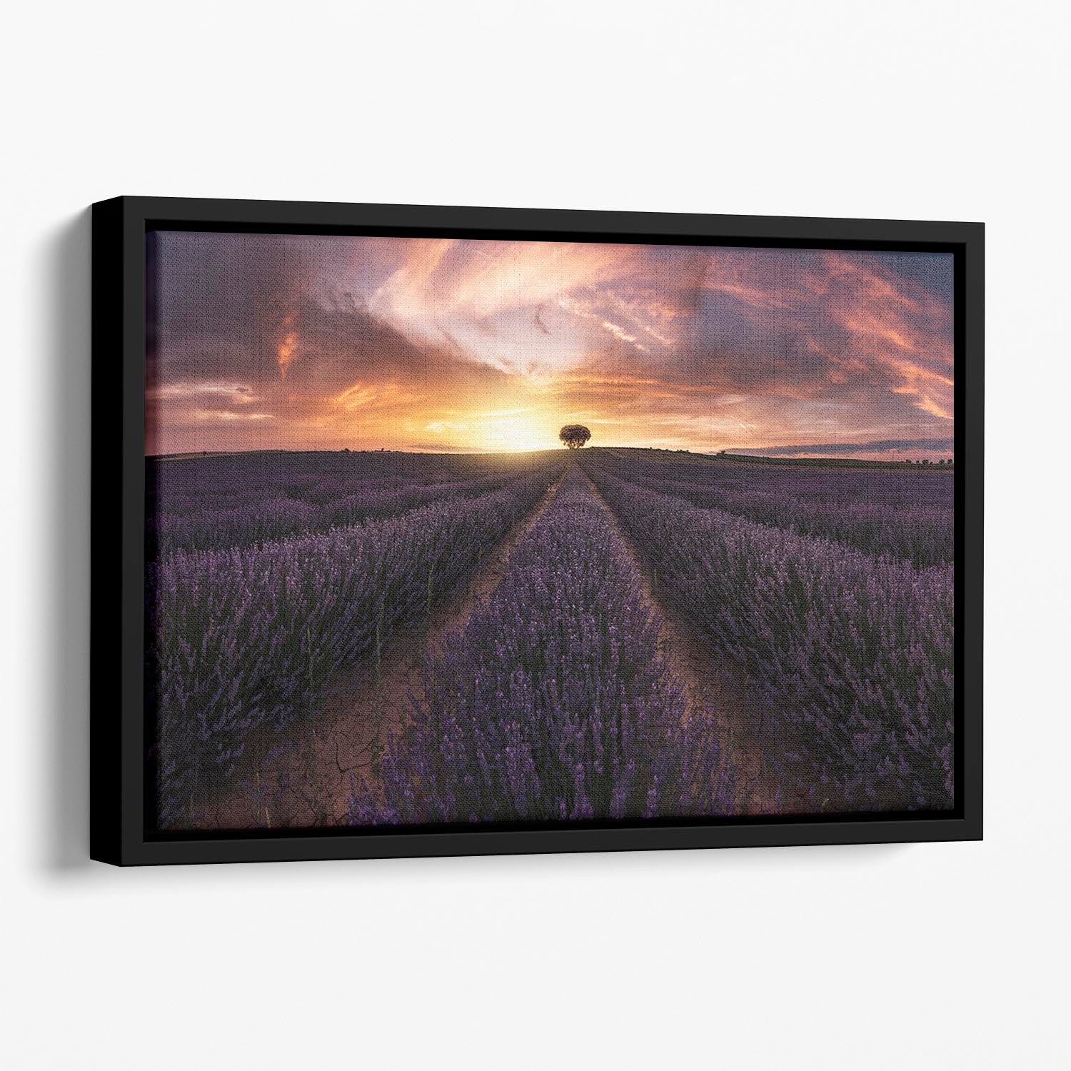 Lavender Sunset Floating Framed Canvas - Canvas Art Rocks - 1