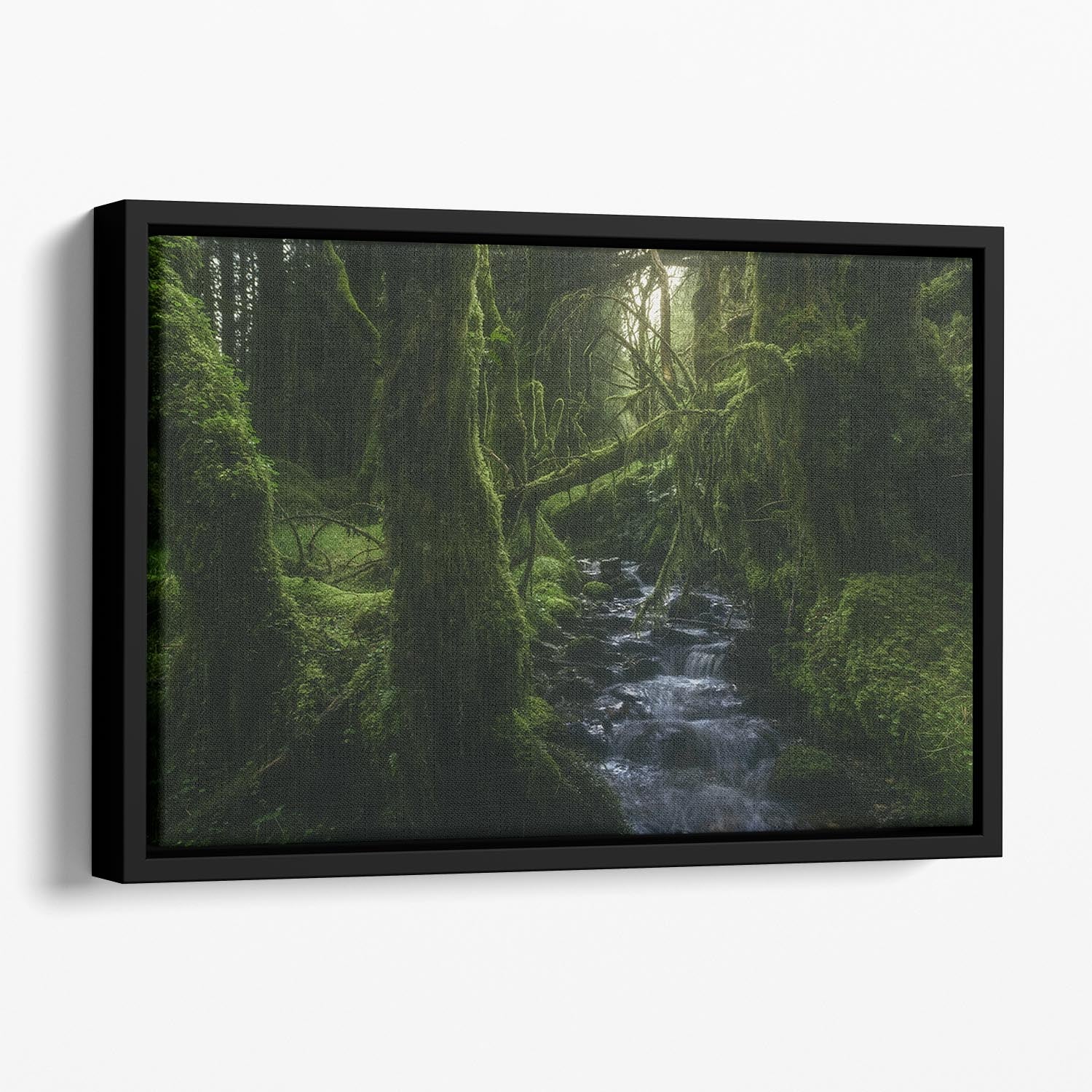 Hidden Wood Floating Framed Canvas - Canvas Art Rocks - 1