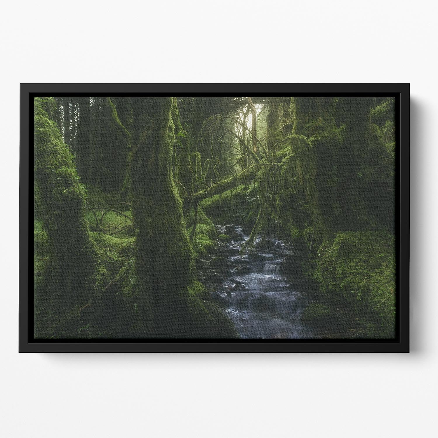 Hidden Wood Floating Framed Canvas - Canvas Art Rocks - 2