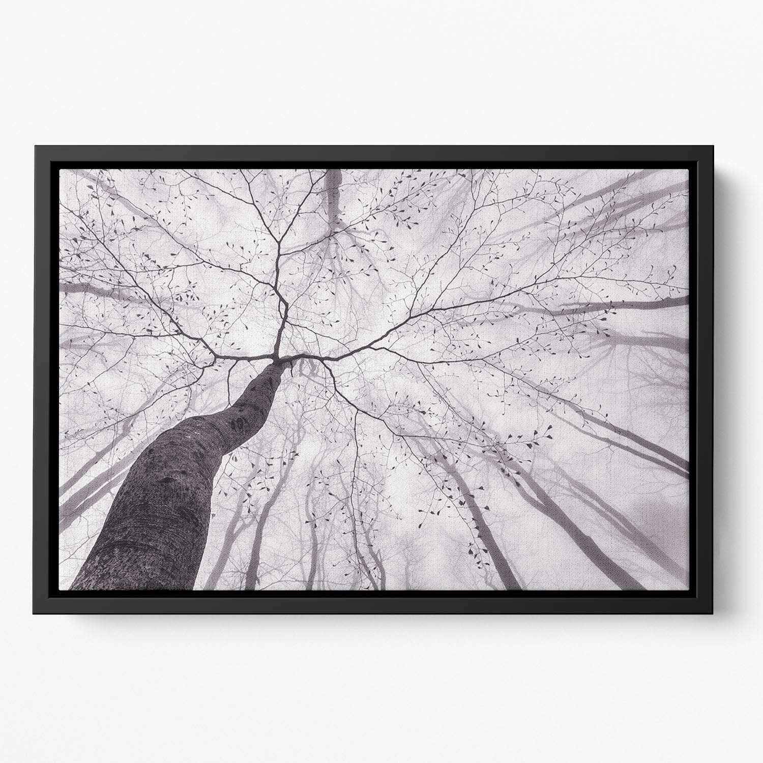 A View Of The Tree Crown Floating Framed Canvas - Canvas Art Rocks - 2