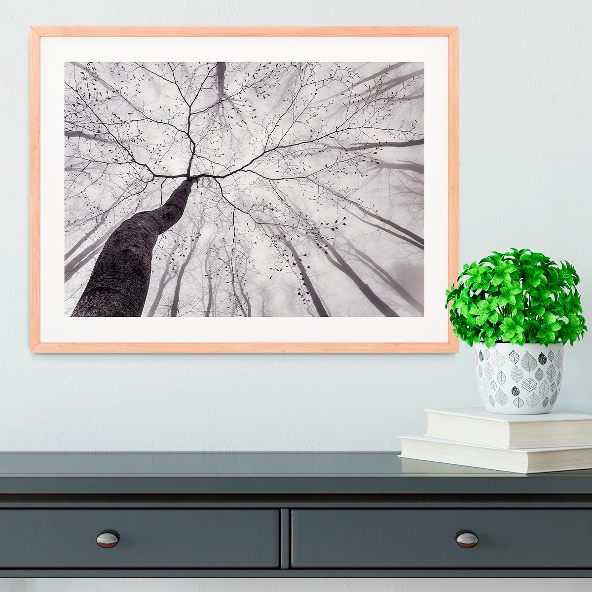 A View Of The Tree Crown Framed Print - Canvas Art Rocks - 3