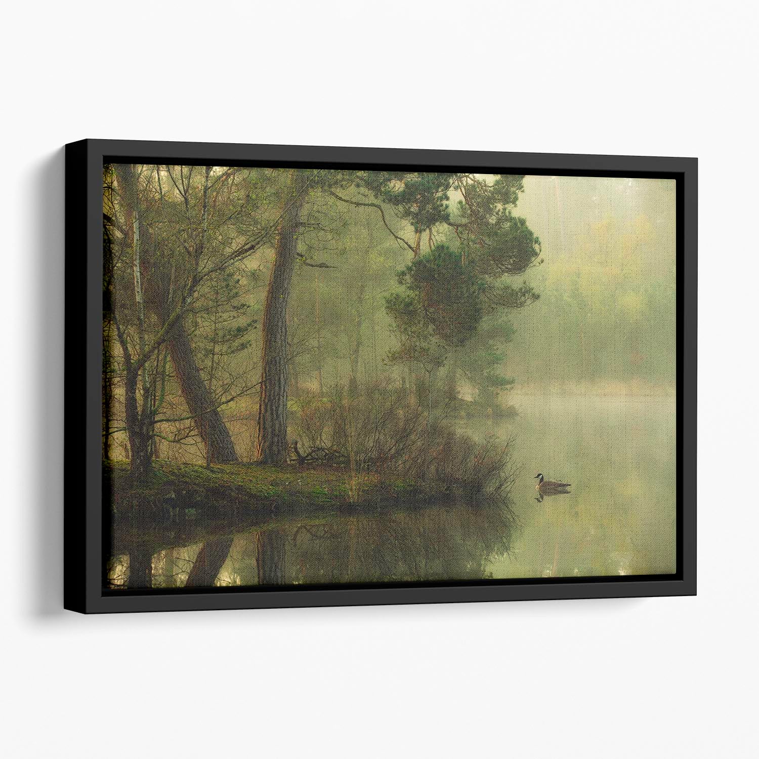 Mood Of Spring Floating Framed Canvas - Canvas Art Rocks - 1