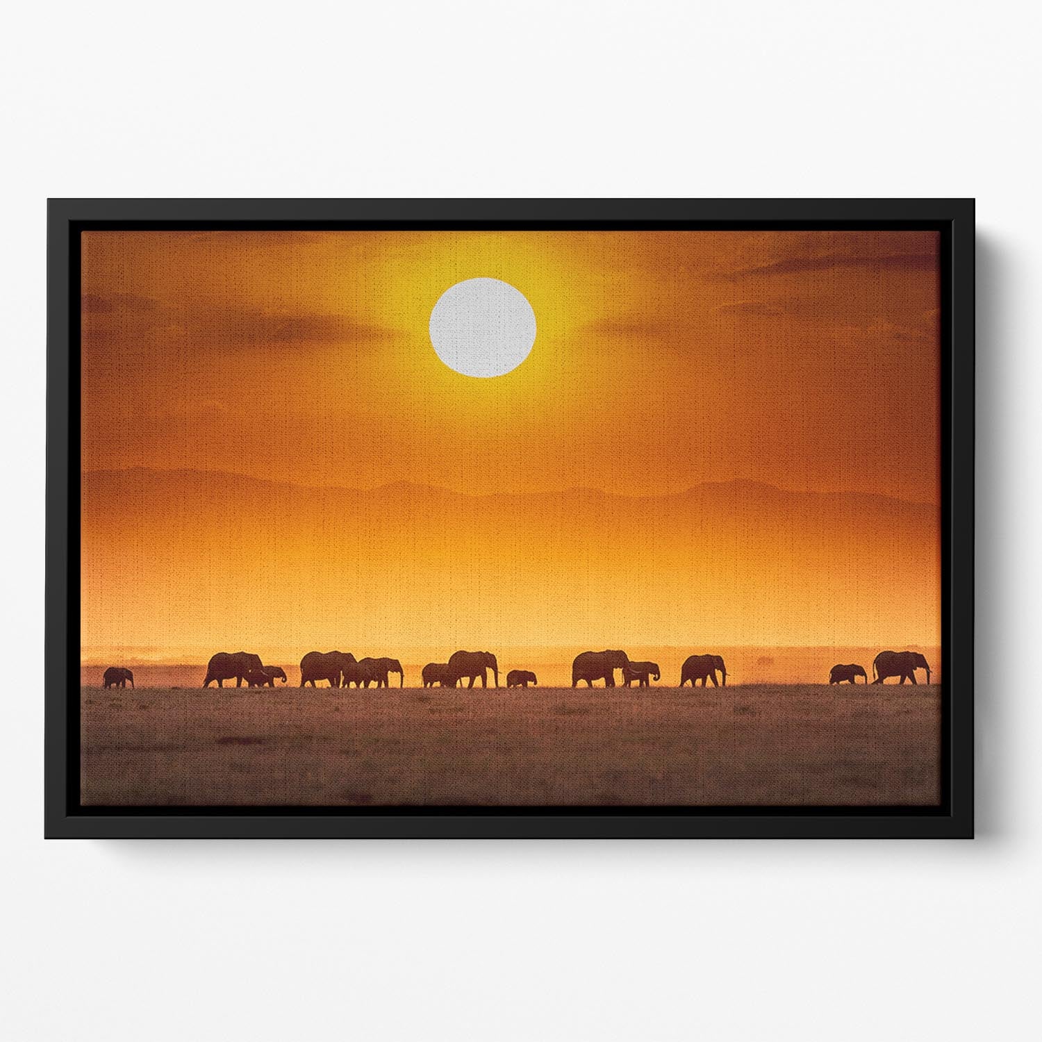 Sunrise Parade Floating Framed Canvas - Canvas Art Rocks - 2