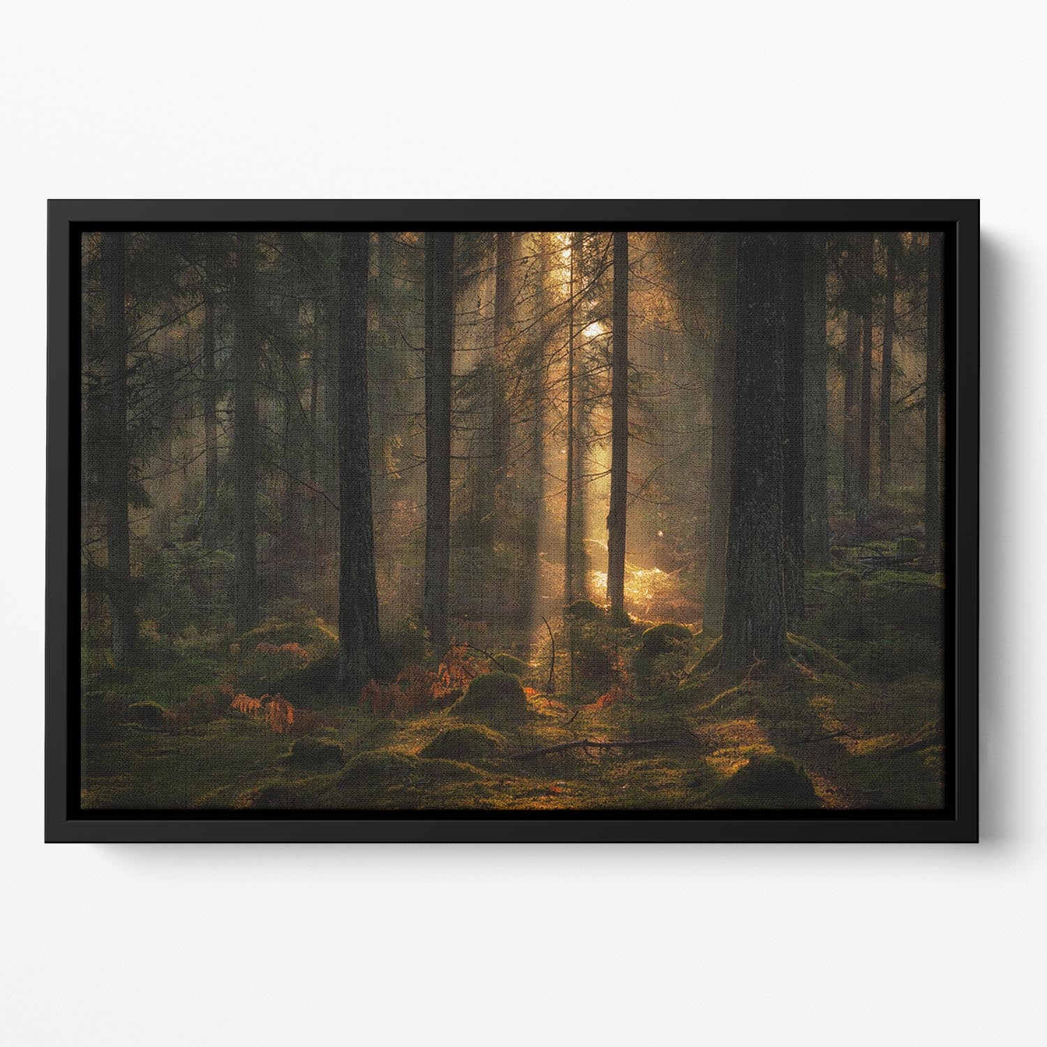 The Light In The Forest Floating Framed Canvas - Canvas Art Rocks - 2