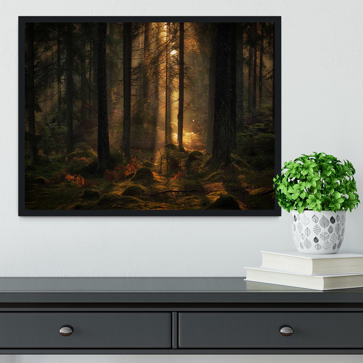 The Light In The Forest Framed Print - Canvas Art Rocks - 2