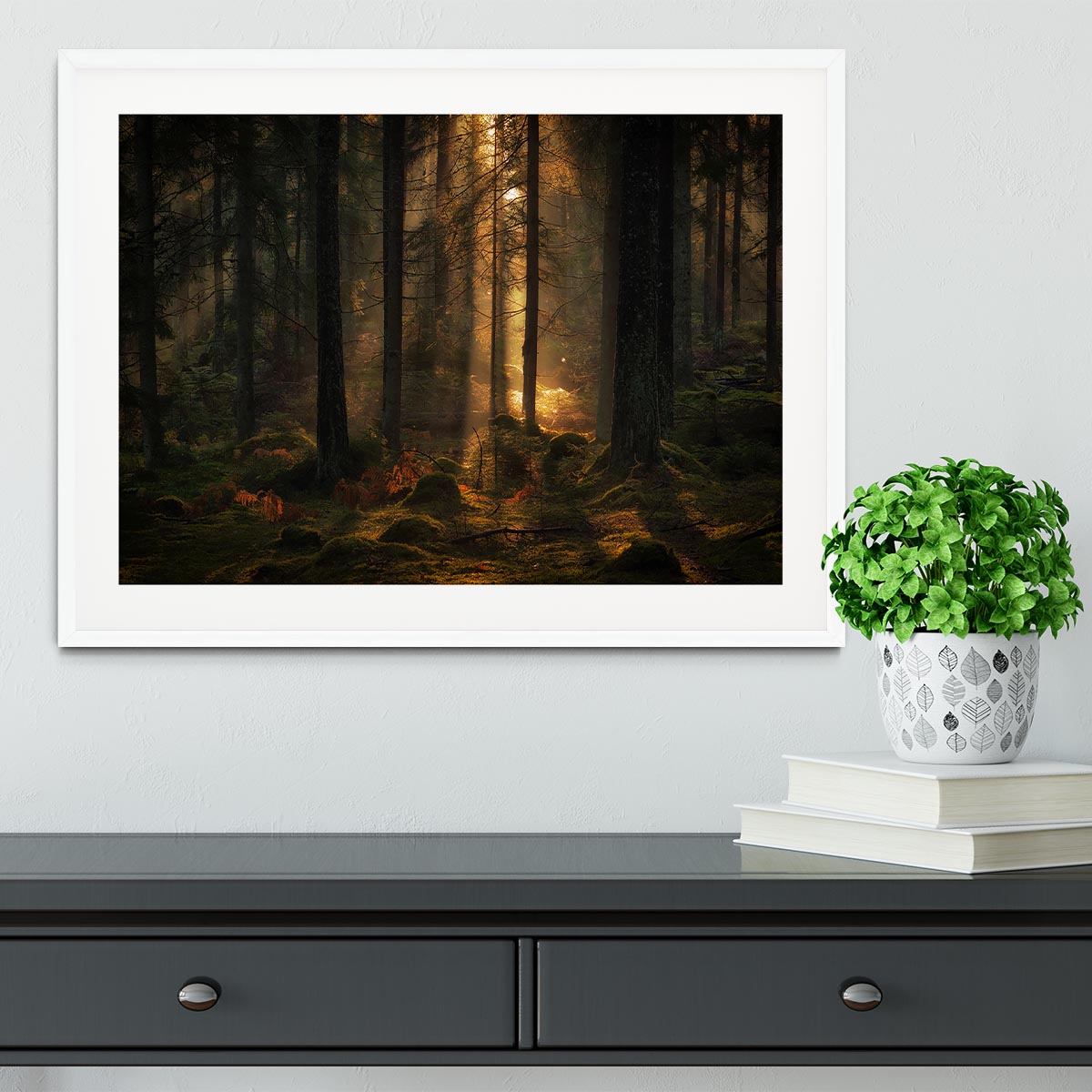 The Light In The Forest Framed Print - Canvas Art Rocks - 5