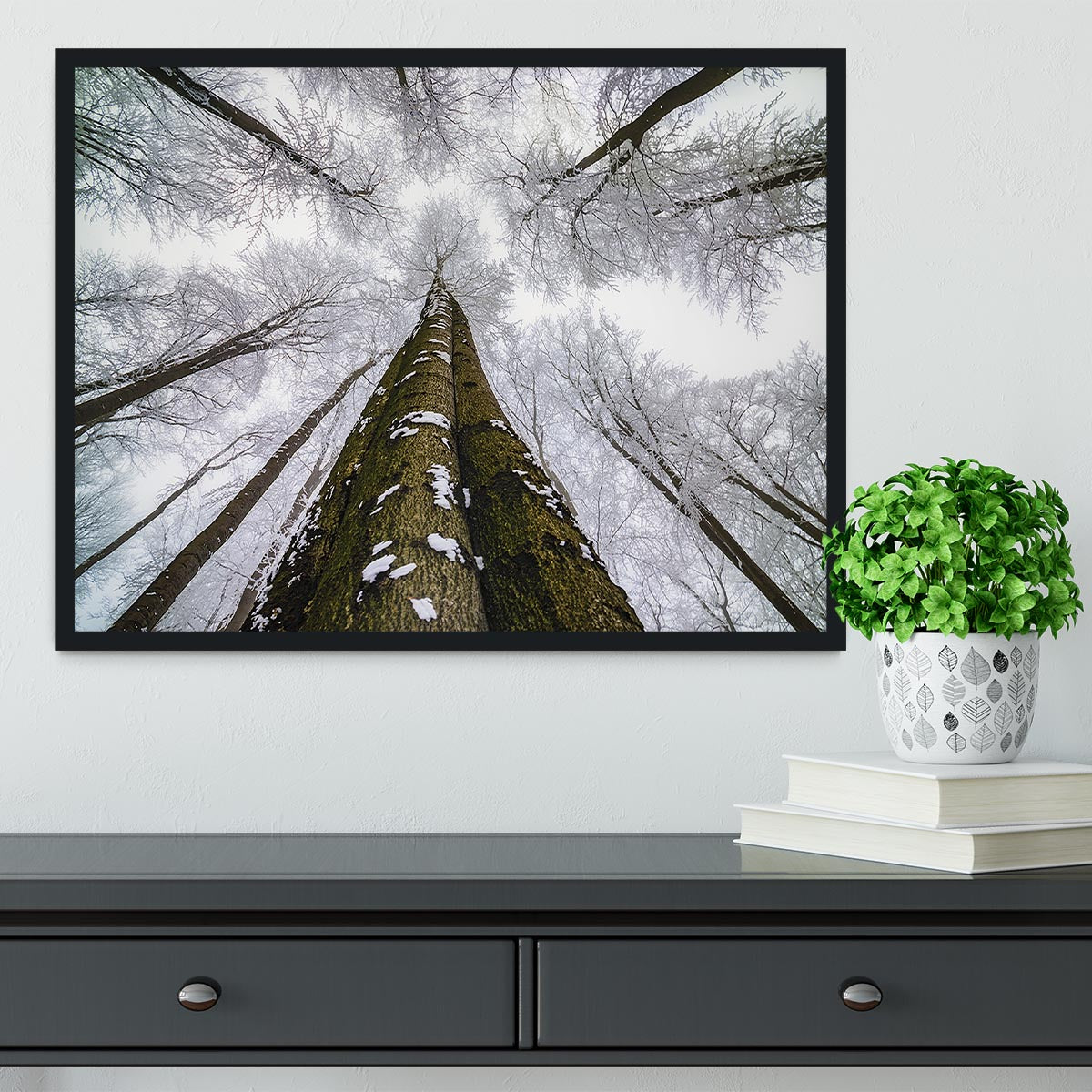 Looking Up Framed Print - Canvas Art Rocks - 2