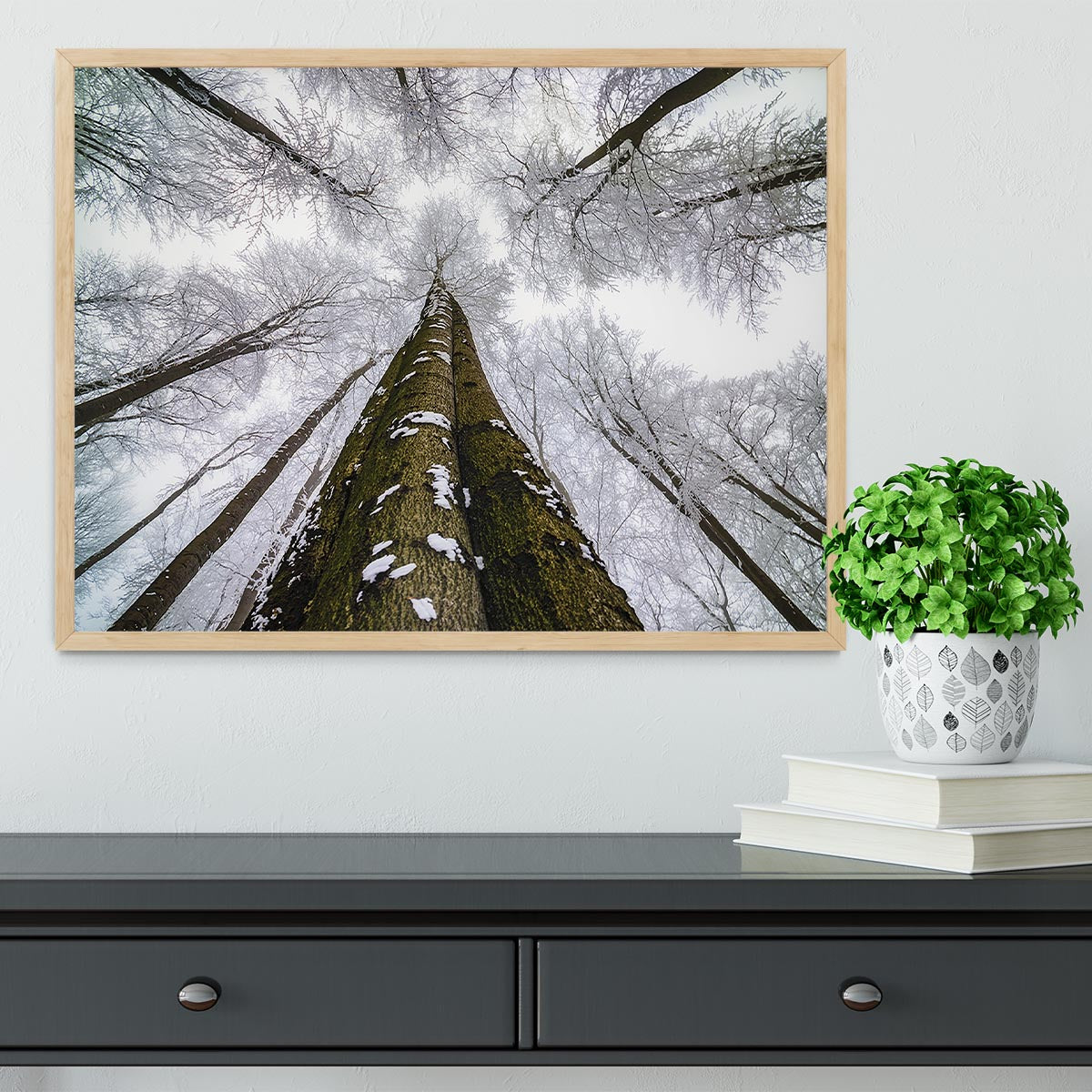 Looking Up Framed Print - Canvas Art Rocks - 4