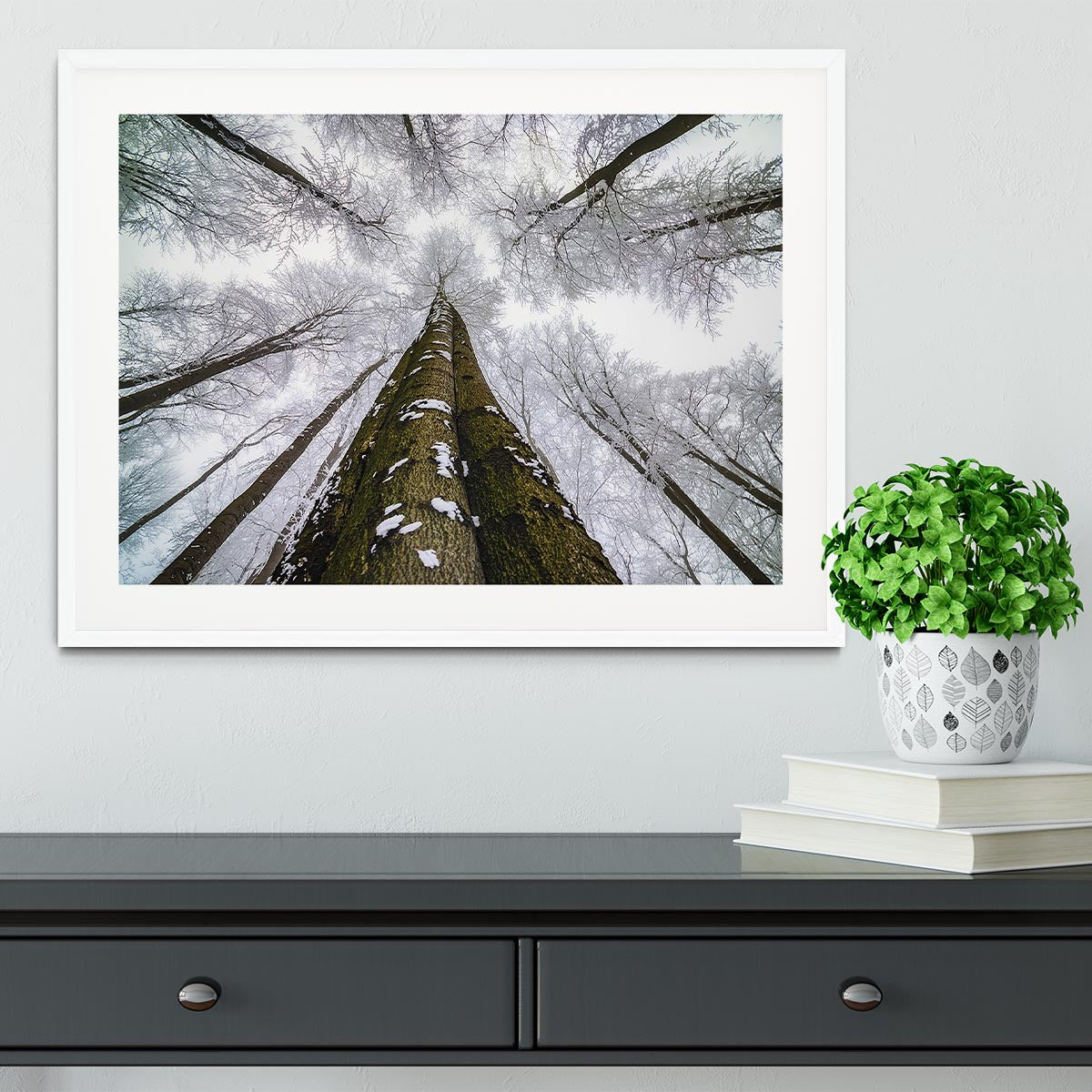 Looking Up Framed Print - Canvas Art Rocks - 5