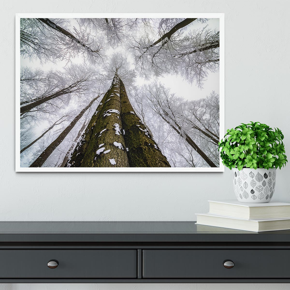 Looking Up Framed Print - Canvas Art Rocks -6