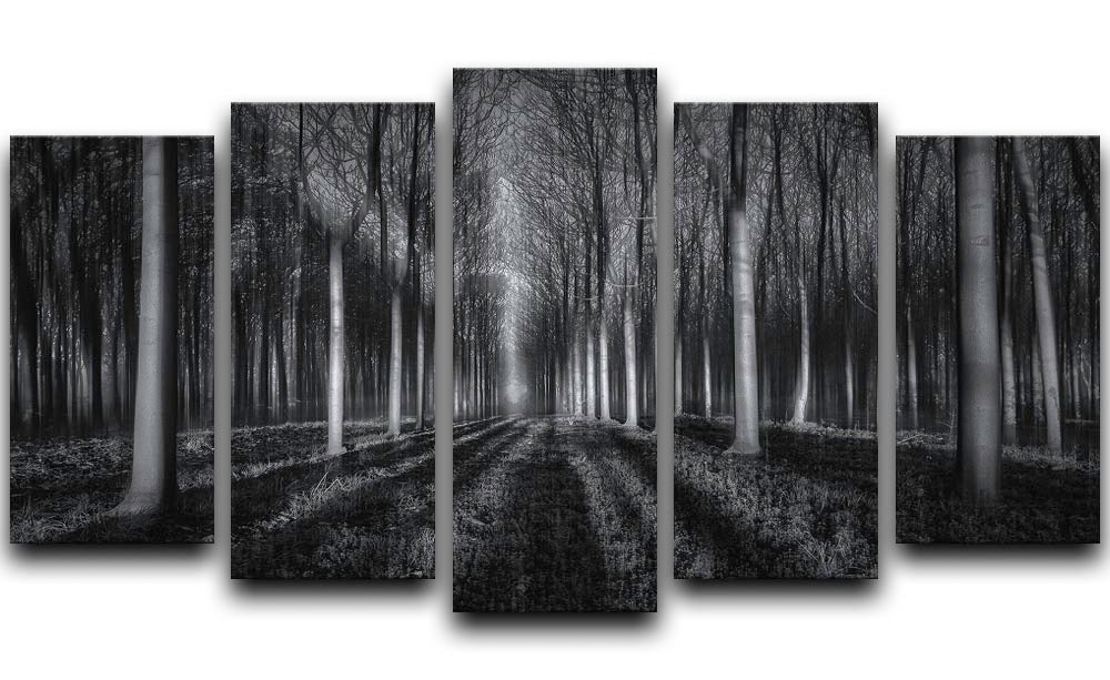 Into The Forest 5 Split Panel Canvas - Canvas Art Rocks - 1