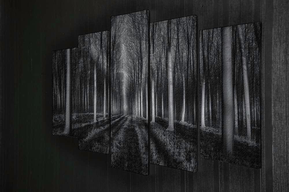 Into The Forest 5 Split Panel Canvas - Canvas Art Rocks - 2