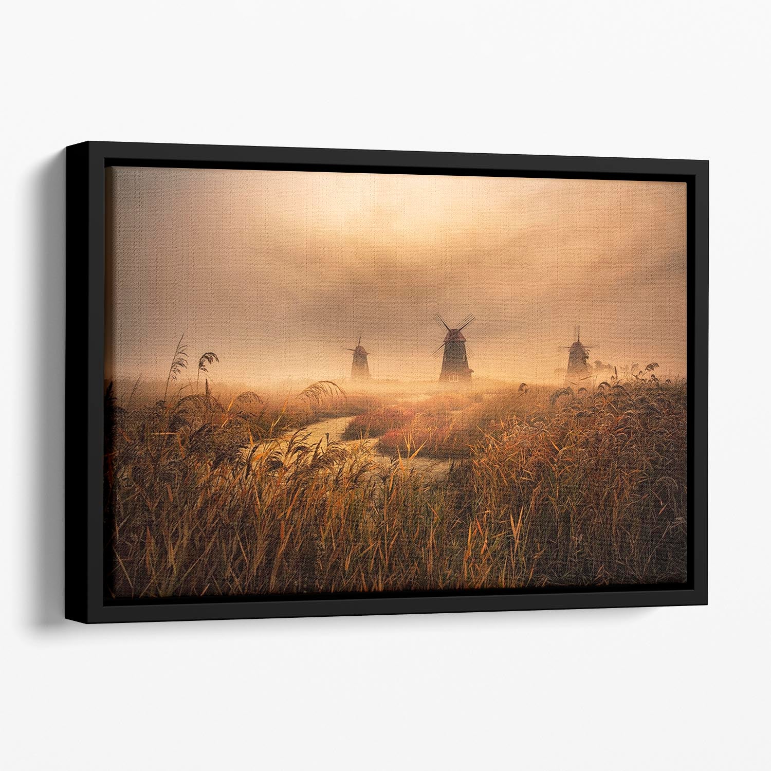 A Fascinating Morning Floating Framed Canvas - Canvas Art Rocks - 1