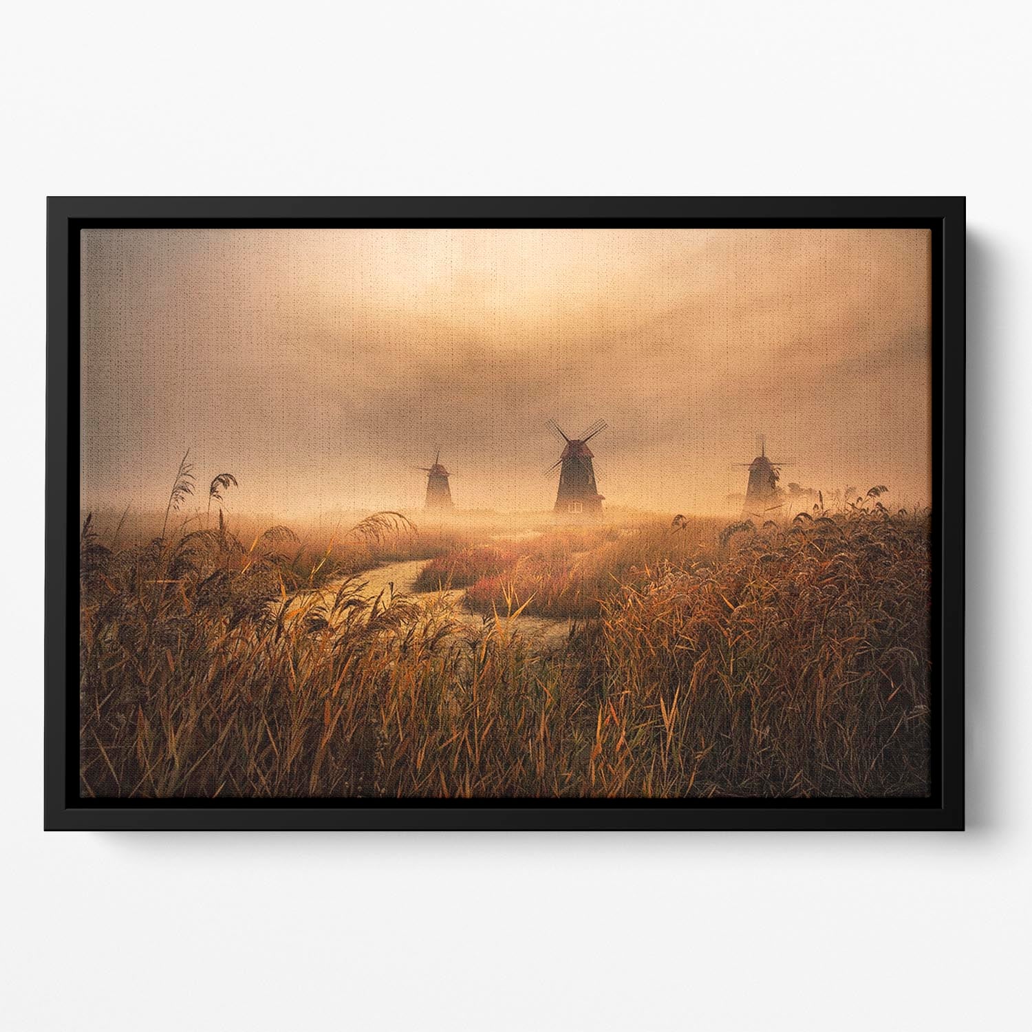 A Fascinating Morning Floating Framed Canvas - Canvas Art Rocks - 2