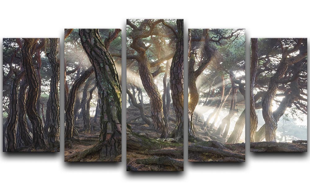 Sacred Pine Trees 5 Split Panel Canvas - Canvas Art Rocks - 1