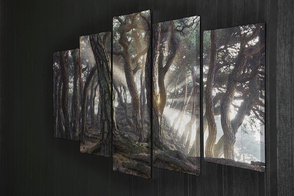 Sacred Pine Trees 5 Split Panel Canvas - Canvas Art Rocks - 2