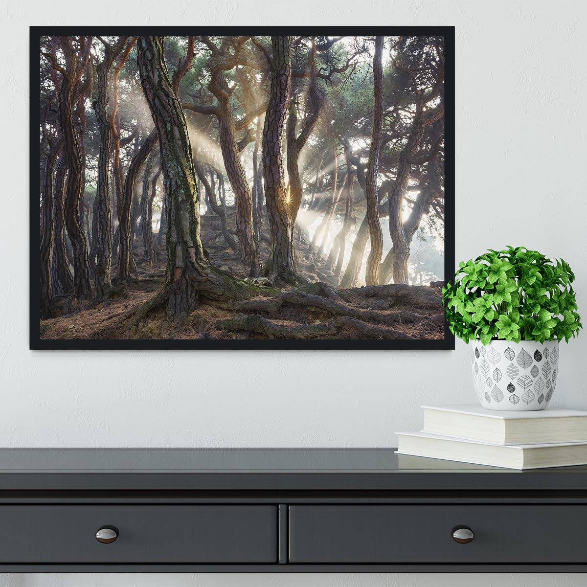 Sacred Pine Trees Framed Print - Canvas Art Rocks - 2