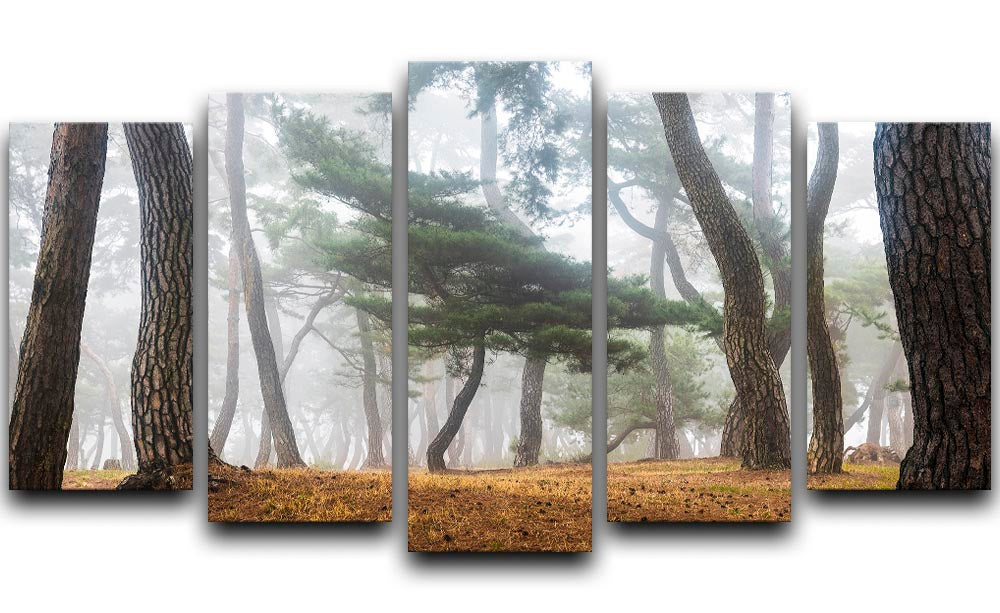 In The Misty Pine Forest 5 Split Panel Canvas - Canvas Art Rocks - 1