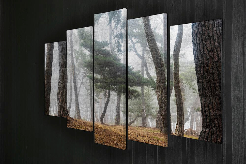 In The Misty Pine Forest 5 Split Panel Canvas - Canvas Art Rocks - 2