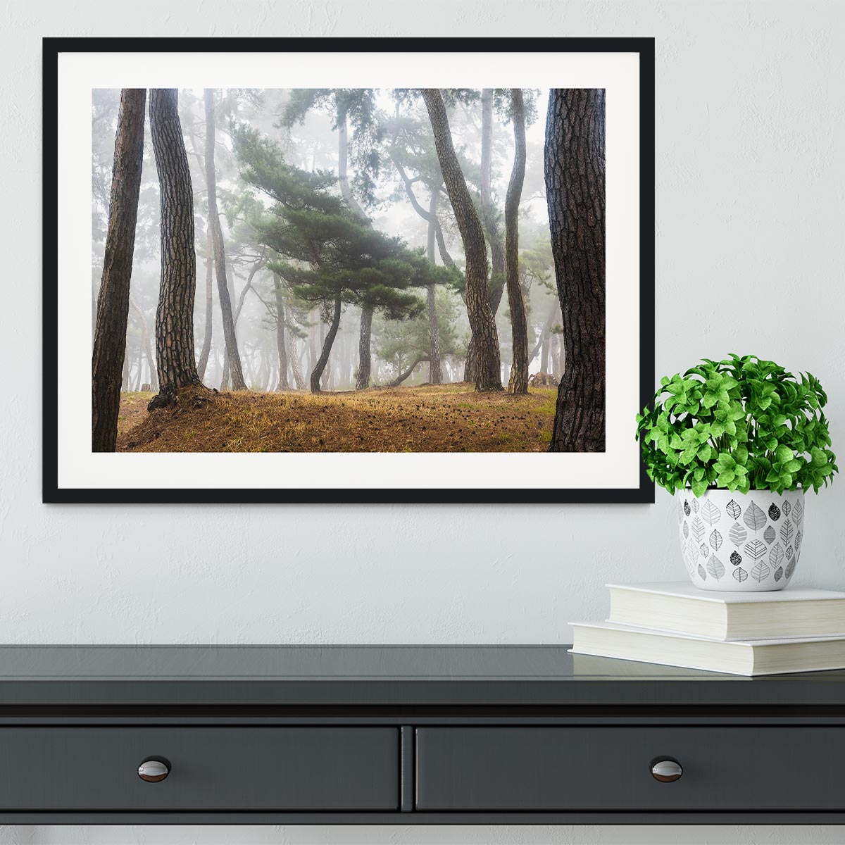 In The Misty Pine Forest Framed Print - Canvas Art Rocks - 1