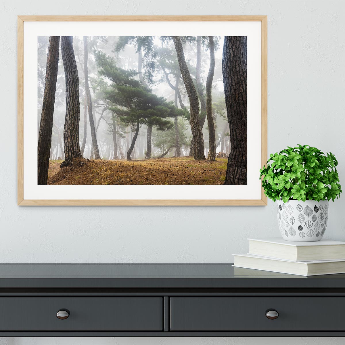 In The Misty Pine Forest Framed Print - Canvas Art Rocks - 3