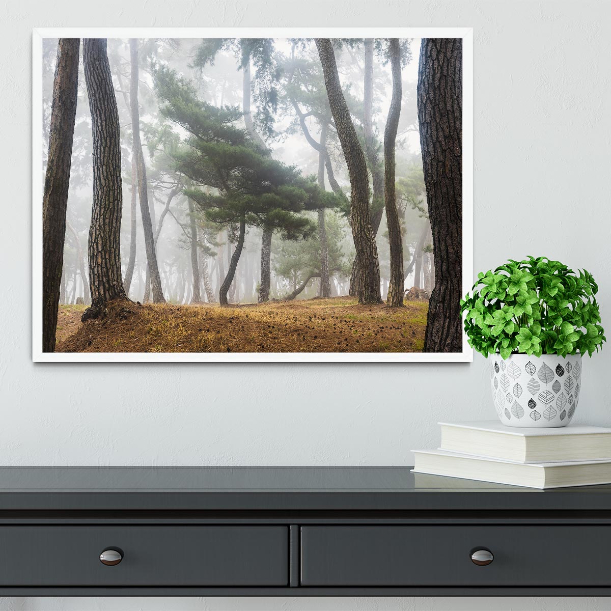 In The Misty Pine Forest Framed Print - Canvas Art Rocks -6